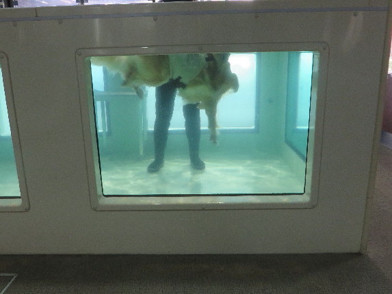 ファイル 6162-4.jpg