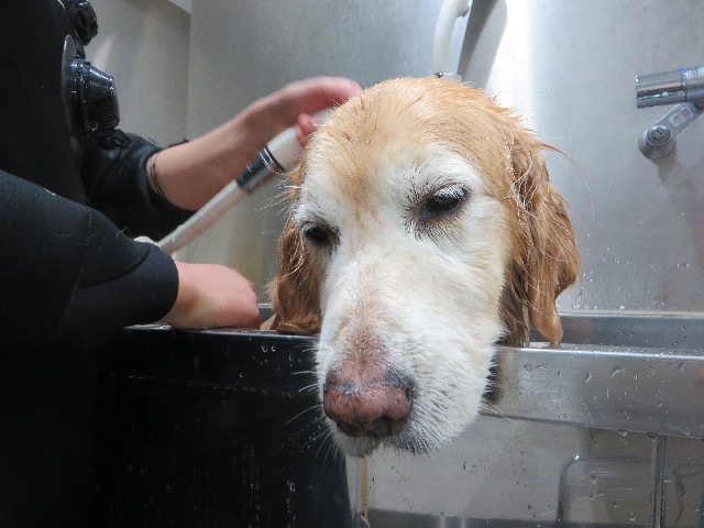 ファイル 6162-5.jpg