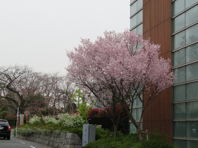 ファイル 6164-3.jpg