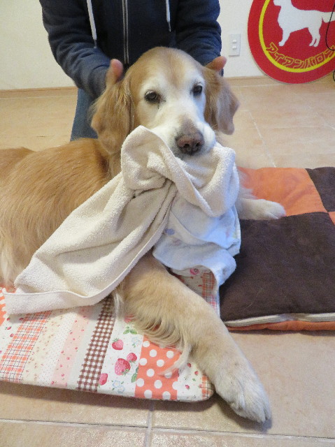 ファイル 6164-5.jpg