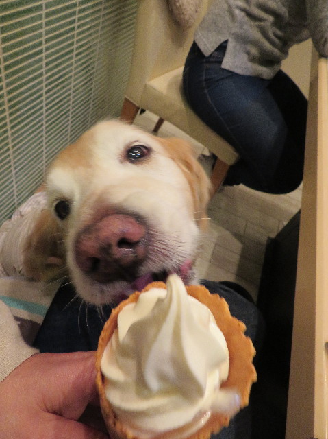 ファイル 6165-5.jpg