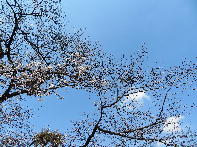 ファイル 6170-3.jpg