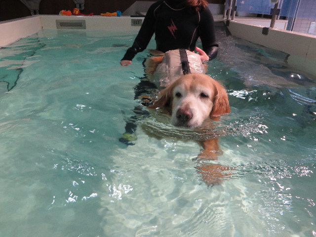 ファイル 6172-3.jpg