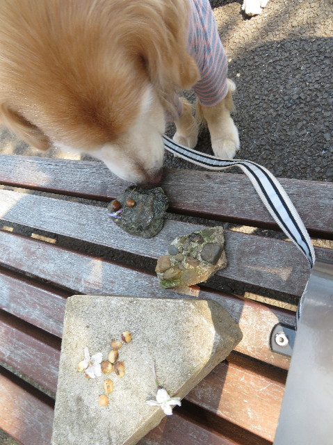 ファイル 6173-3.jpg