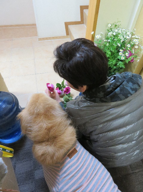 ファイル 6173-5.jpg