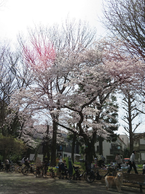 ファイル 6174-1.jpg