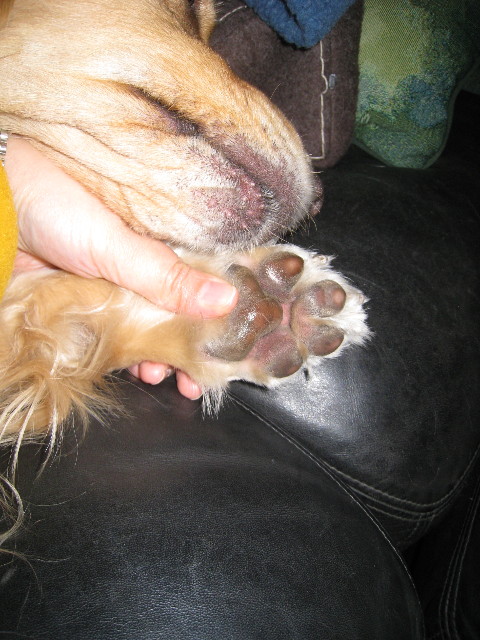 ファイル 618-2.jpg