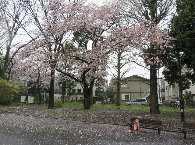 ファイル 6180-2.jpg