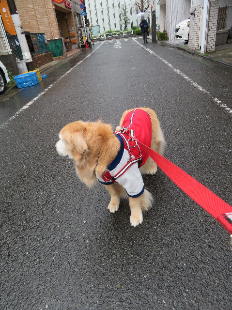 ファイル 6181-1.jpg