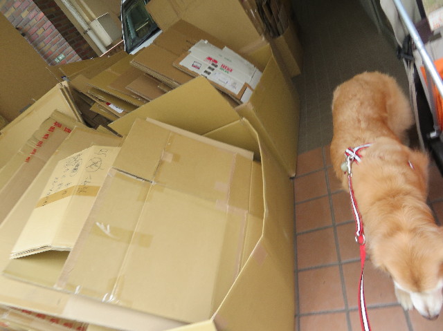 ファイル 6182-1.jpg