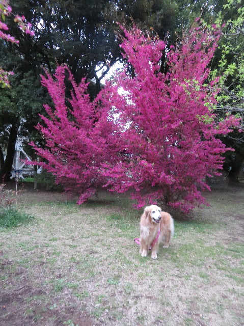 ファイル 6185-5.jpg