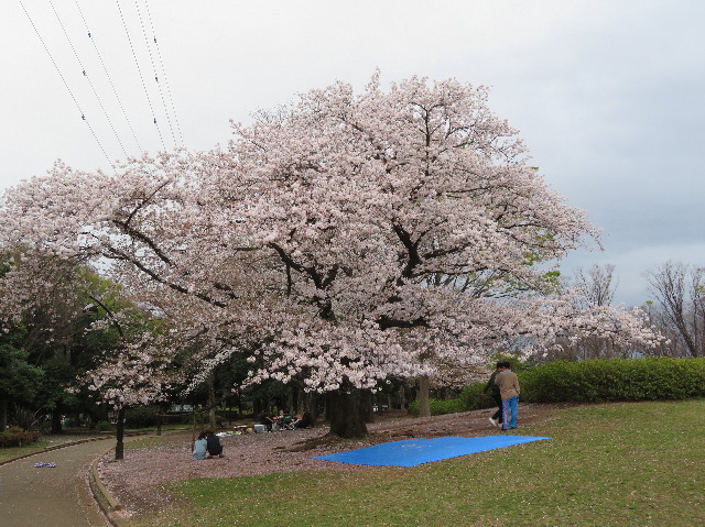 ファイル 6186-1.jpg