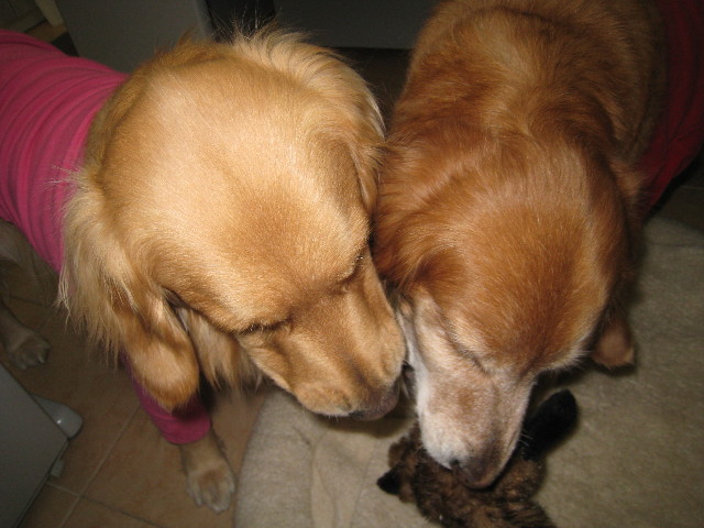 ファイル 619-4.jpg