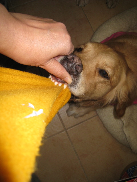 ファイル 619-5.jpg