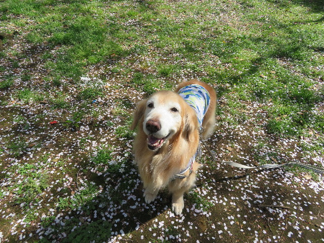 ファイル 6190-3.jpg