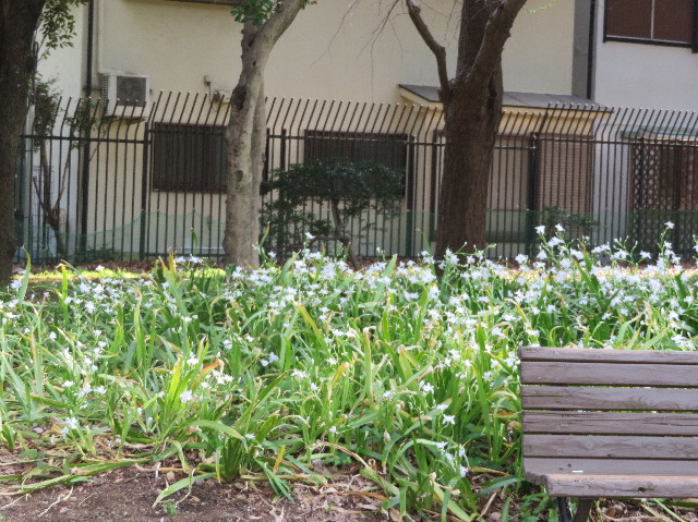 ファイル 6190-5.jpg