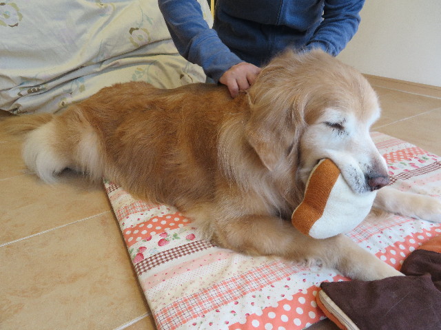 ファイル 6191-5.jpg