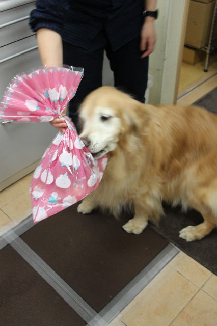 ファイル 6196-2.jpg