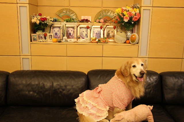 ファイル 6197-5.jpg