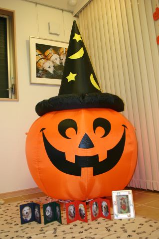 ファイル 62-4.jpg