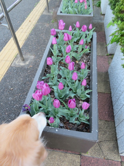 ファイル 6201-4.jpg