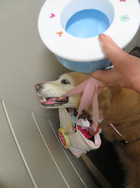 ファイル 6202-1.jpg