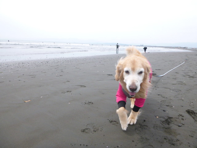 ファイル 6202-4.jpg