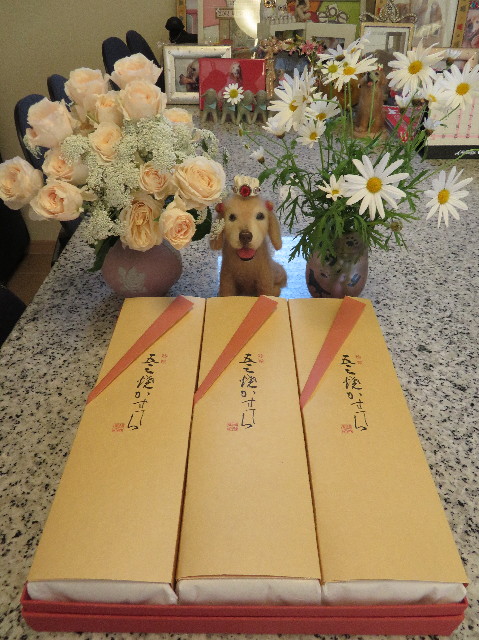 ファイル 6205-3.jpg