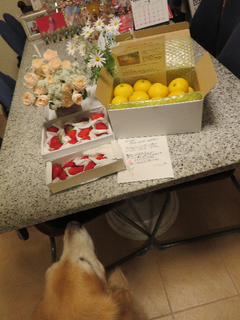 ファイル 6205-4.jpg