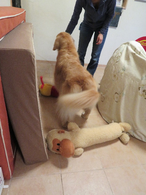 ファイル 6208-1.jpg