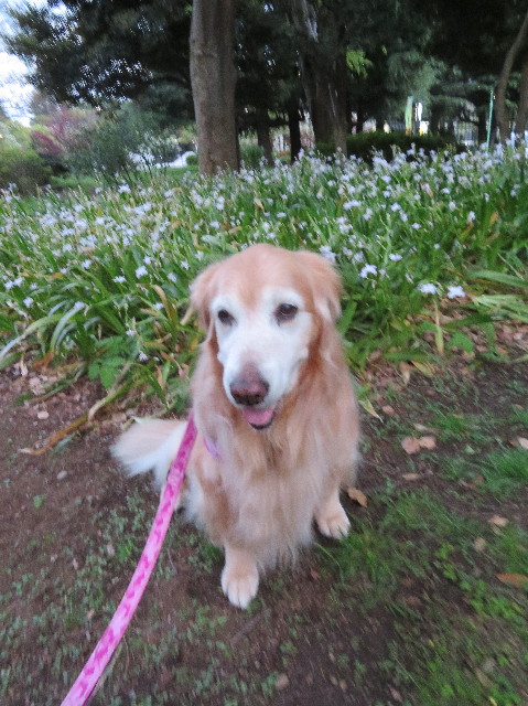 ファイル 6208-4.jpg