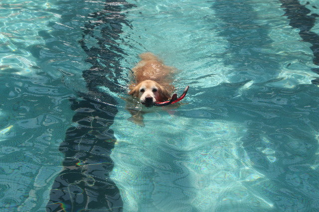 ファイル 6210-3.jpg