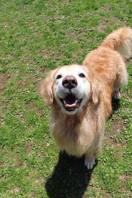 ファイル 6212-3.jpg