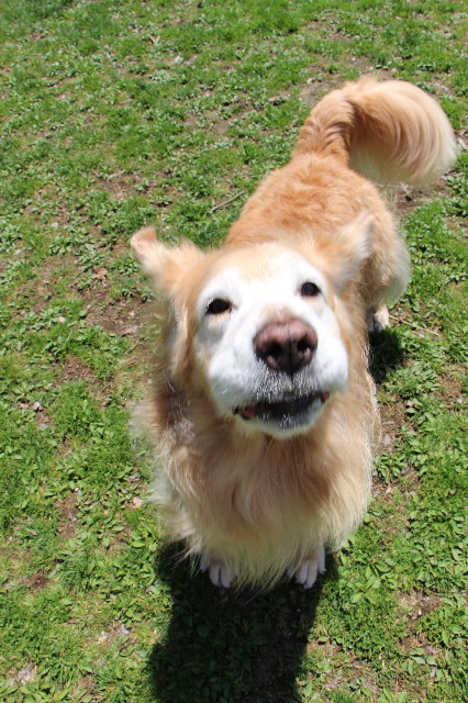 ファイル 6212-4.jpg