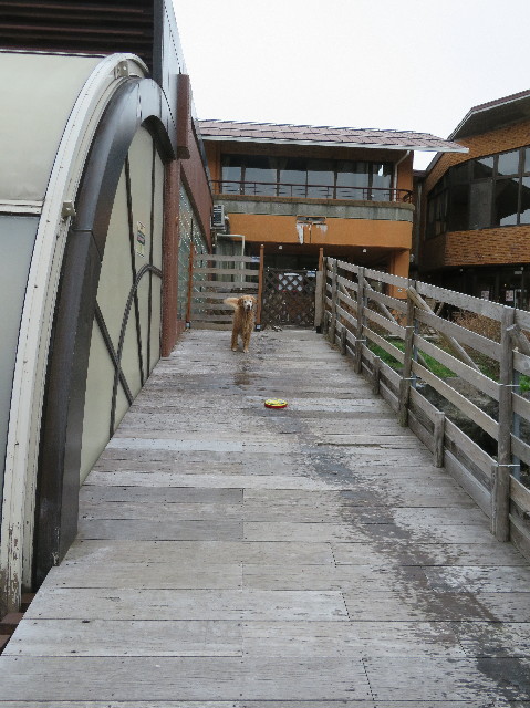 ファイル 6213-3.jpg