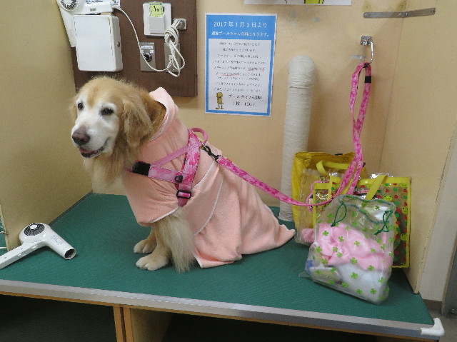 ファイル 6213-5.jpg