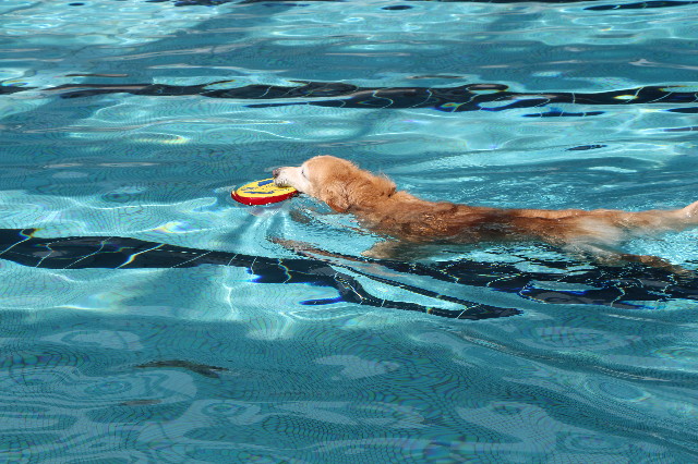 ファイル 6216-2.jpg