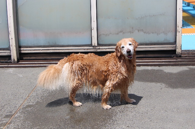 ファイル 6216-3.jpg