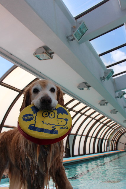 ファイル 6216-4.jpg