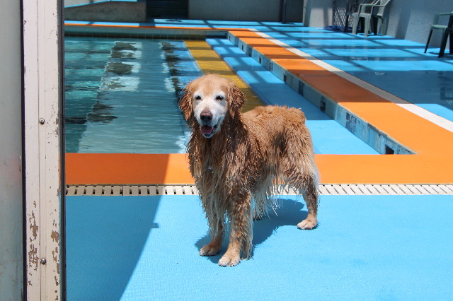 ファイル 6216-5.jpg