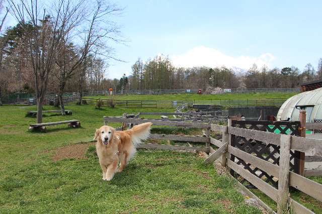 ファイル 6218-2.jpg