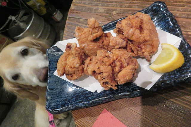 ファイル 6219-3.jpg