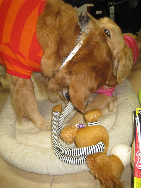 ファイル 622-4.jpg