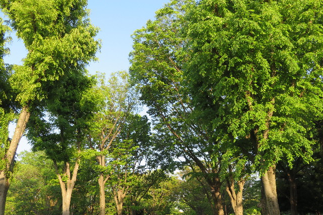 ファイル 6220-1.jpg