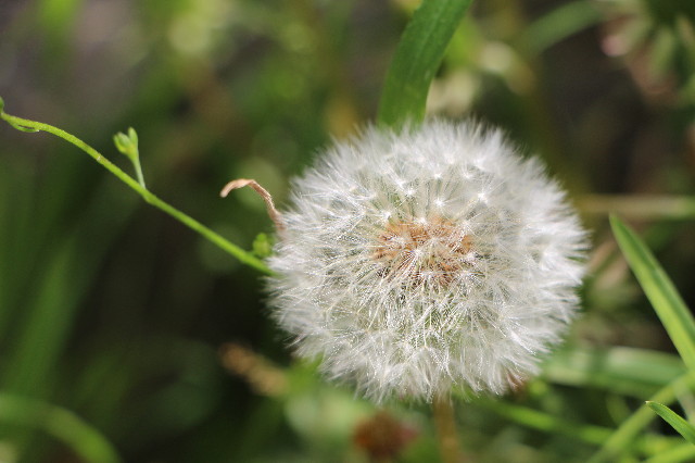 ファイル 6221-2.jpg