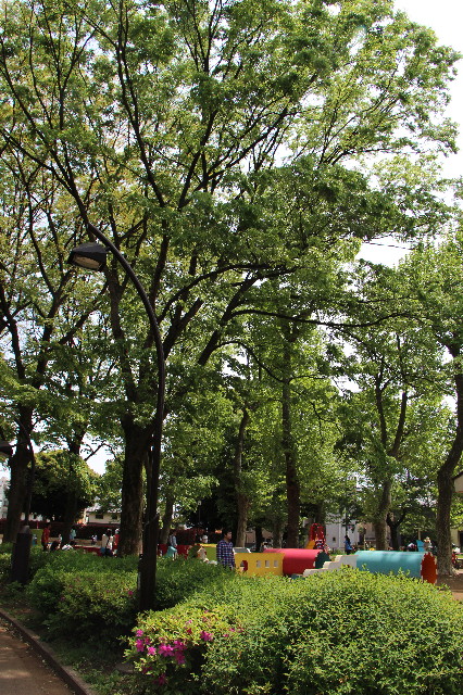 ファイル 6223-2.jpg