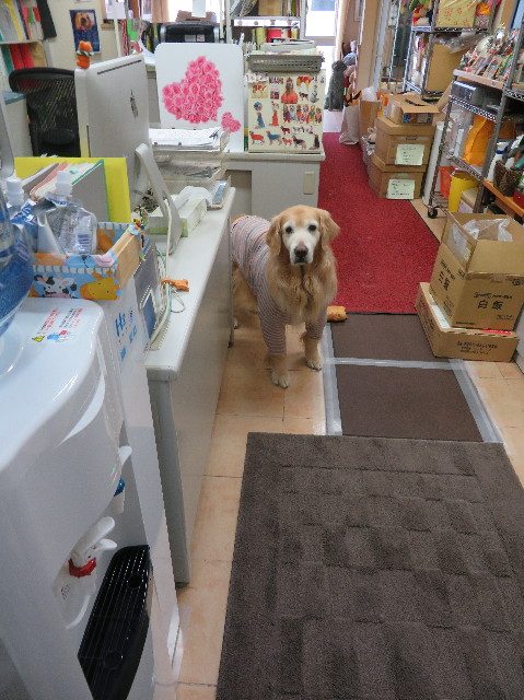 ファイル 6224-1.jpg