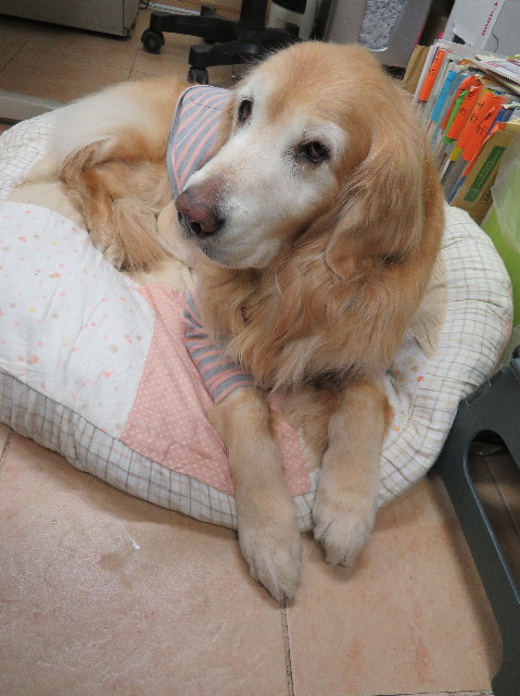 ファイル 6224-4.jpg