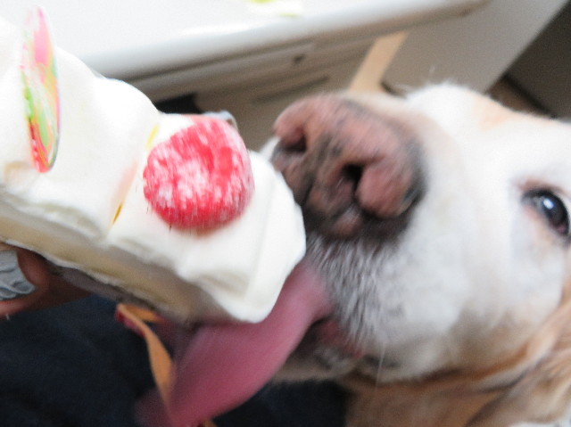 ファイル 6224-5.jpg