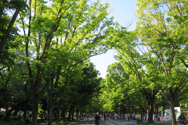 ファイル 6227-1.jpg